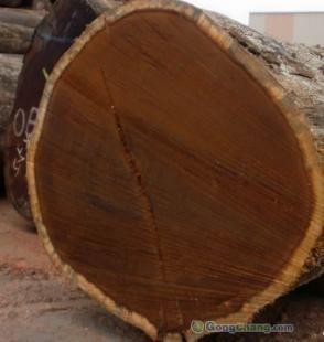 供應(yīng)非洲菠蘿格防腐木地板、菠蘿格報(bào)價(jià)_建筑建材_世界工廠網(wǎng)中國產(chǎn)品信息庫