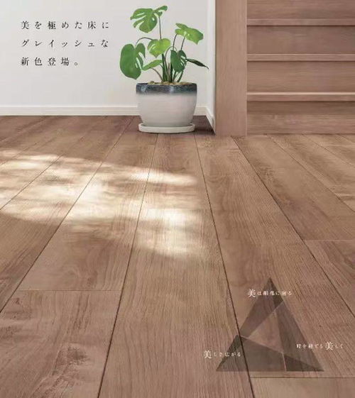 進(jìn)口木地板給您一個舒適健康的家
