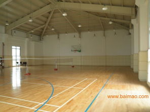 專業(yè)運(yùn)動(dòng)木地板系統(tǒng) 從生產(chǎn)到施工的全方位解析