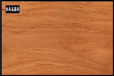 佛山市南海區駿藤家具 熱推新品真藤沙發，引領酒店家具新潮流